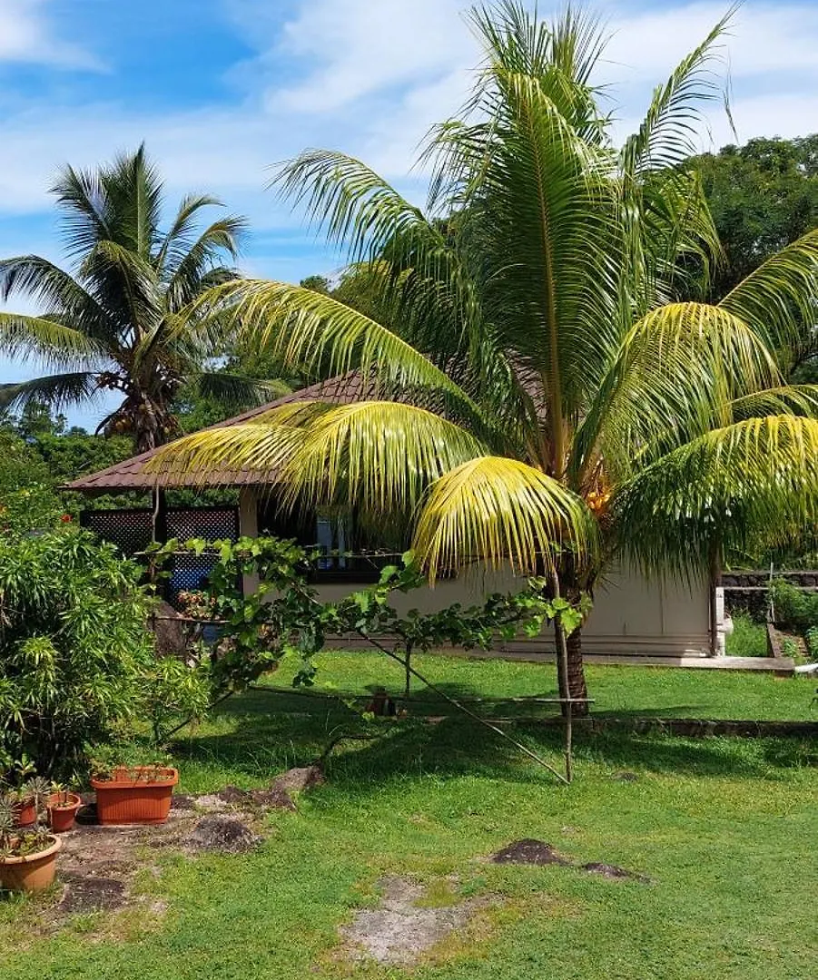 Eco Lodge Self-Catering 1-2 Grand Anse  Apartamento Grand Anse (Mahe)