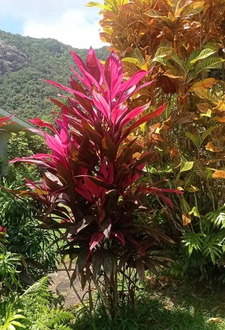 Apartment Eco Lodge Self-Catering 1-2 Grand Anse